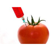 Skeptic Check: OMG, GMO?