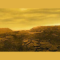 Life on Venus?