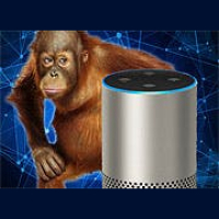 Gained in Translation