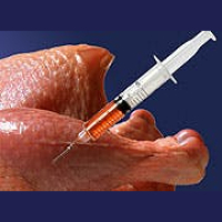 Bacteria to the Future