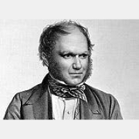 Surfeit of the Vitalest