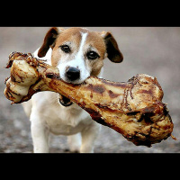 Bare Bones (rebroadcast)