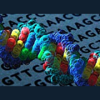 DNA: Natures Hard Drive