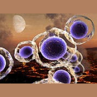 Is Life Inevitable? (Rebroadcast)