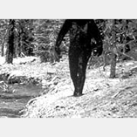 Skeptic Check: Monsters, Magic, and Music