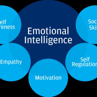 M.A.Y.A. Episode #11- Whats Your Emotional IQ