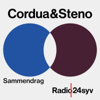 Det borgerlige Danmark er druknet i regnemodeller. Hvad mener de unge om...