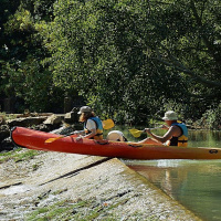 #19: Making Cents out of Setbacks (TJED)