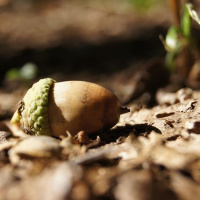 #10: When Change is Hard