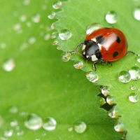 LBW 08: Law of Relativity