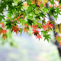 #34: How to Achieve More-Succeeding With Your Talents