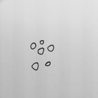 #2: Raejuusto on maailman pahin asia. Niin ja ebola.