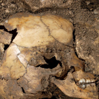 Cuarto milenio: Las otras humanidades