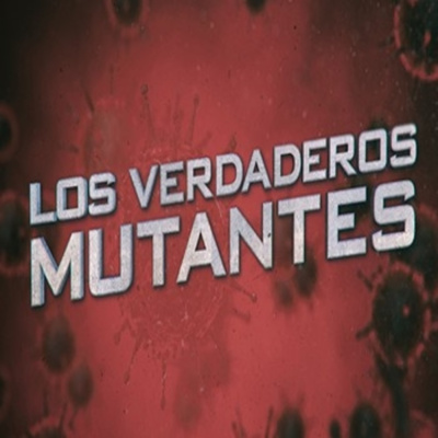 Cuarto Milenio (oficial)