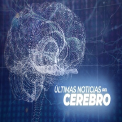 Cuarto Milenio (oficial)