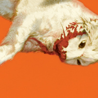 T03E06 - El gobierno del gobierno