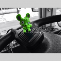 Books, Libraries and the Internet