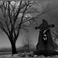 Early Morning RamblyBoo