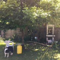 Mondays Cool Breeze [audiomo]