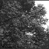 More Superstitious Talk