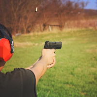 Politics, Gun Control, NRA