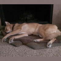 Approaching at Fork in da Road