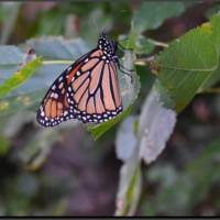 When have You Compromised Yourself to fit in?