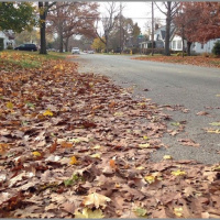 My Favorite Season is...