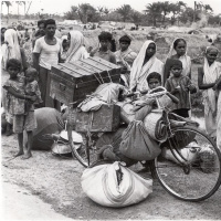 Witness to two Partitions (Part II) / E8