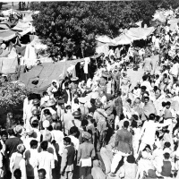 The consequences of migration during Partition / E2