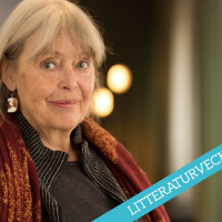 Romanprisjuryn om Doften av en man av Agneta Pleijel