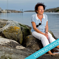 Romanprisjuryn om Sidonie amp Nathalie av Sigrid Combüchen