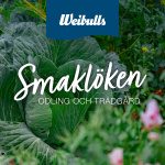 Smaklöken: Odling Och Mat