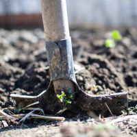Skärgårdsodlarna möter en jordexpert