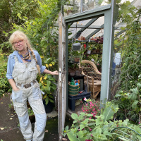 Höst i trädgården och allt du inte behöver göra