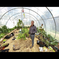 Frodig grönska, frost och lyssnarfrågor