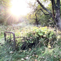 Pias trädgårdsoas på Östgötaslätten
