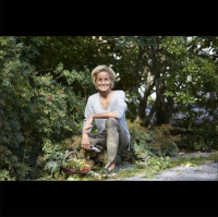 Lisen Sundgren - våra vanligaste kryddor