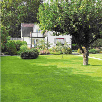 Rätt gräsfrö ger rätt gräsmatta