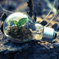 Så odlar du på ett hållbart sätt