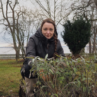 Alla kan odla - Emelie Lagervall