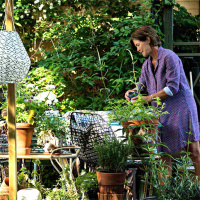 Bästa jorden till din trädgård