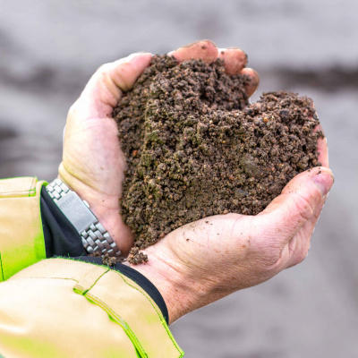 Smaklöken: Odling Och Mat