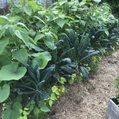 Smaklöken: Odling Och Mat