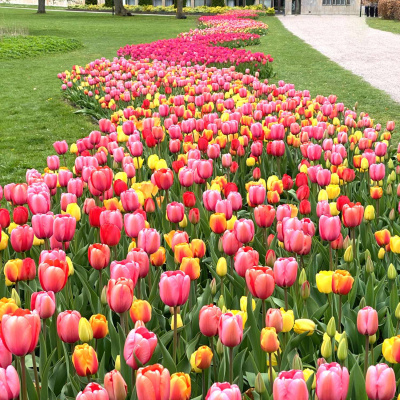 Smaklöken: Odling Och Mat