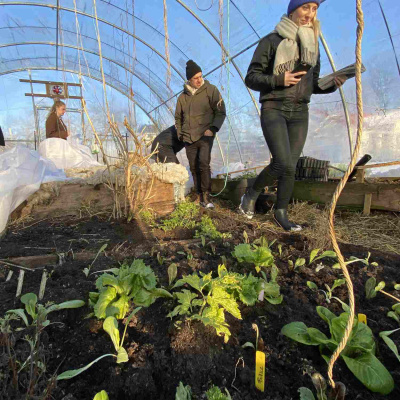 Smaklöken: Odling Och Mat