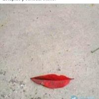 CONMOSIOMA ACELEBRAR