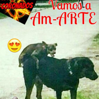 Romanticos , Soñadores y Solitarios wan parte