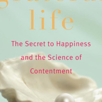 Doing not Dreaming for Contentment and Happiness