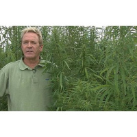 Expert Discussion on Hemp, Medical Marijuana and Recreational Marijuana